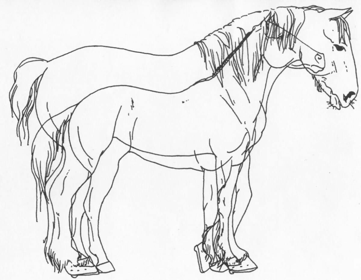 Playful coloring shire