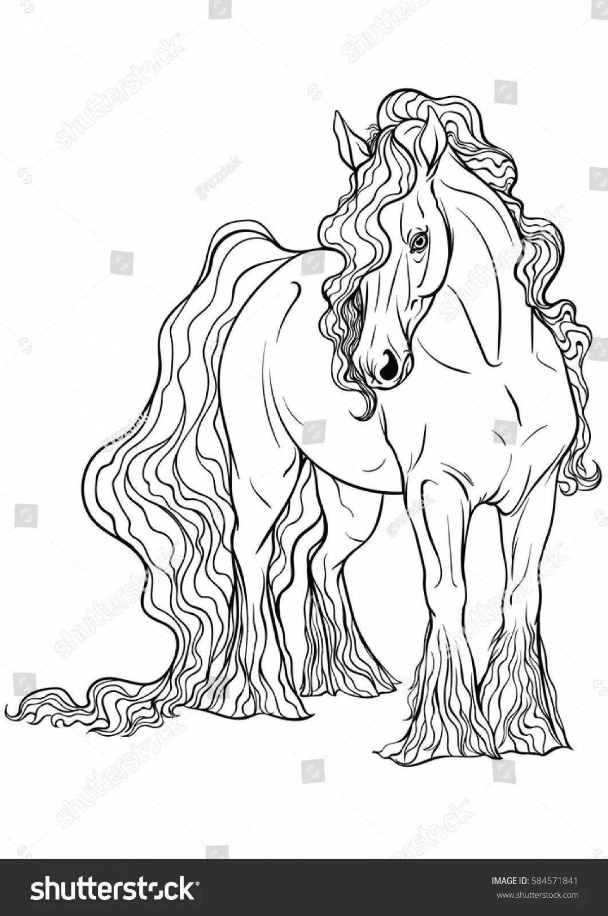 Large coloring shire