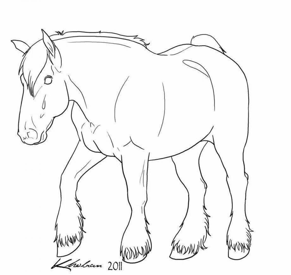 Majestic shire coloring