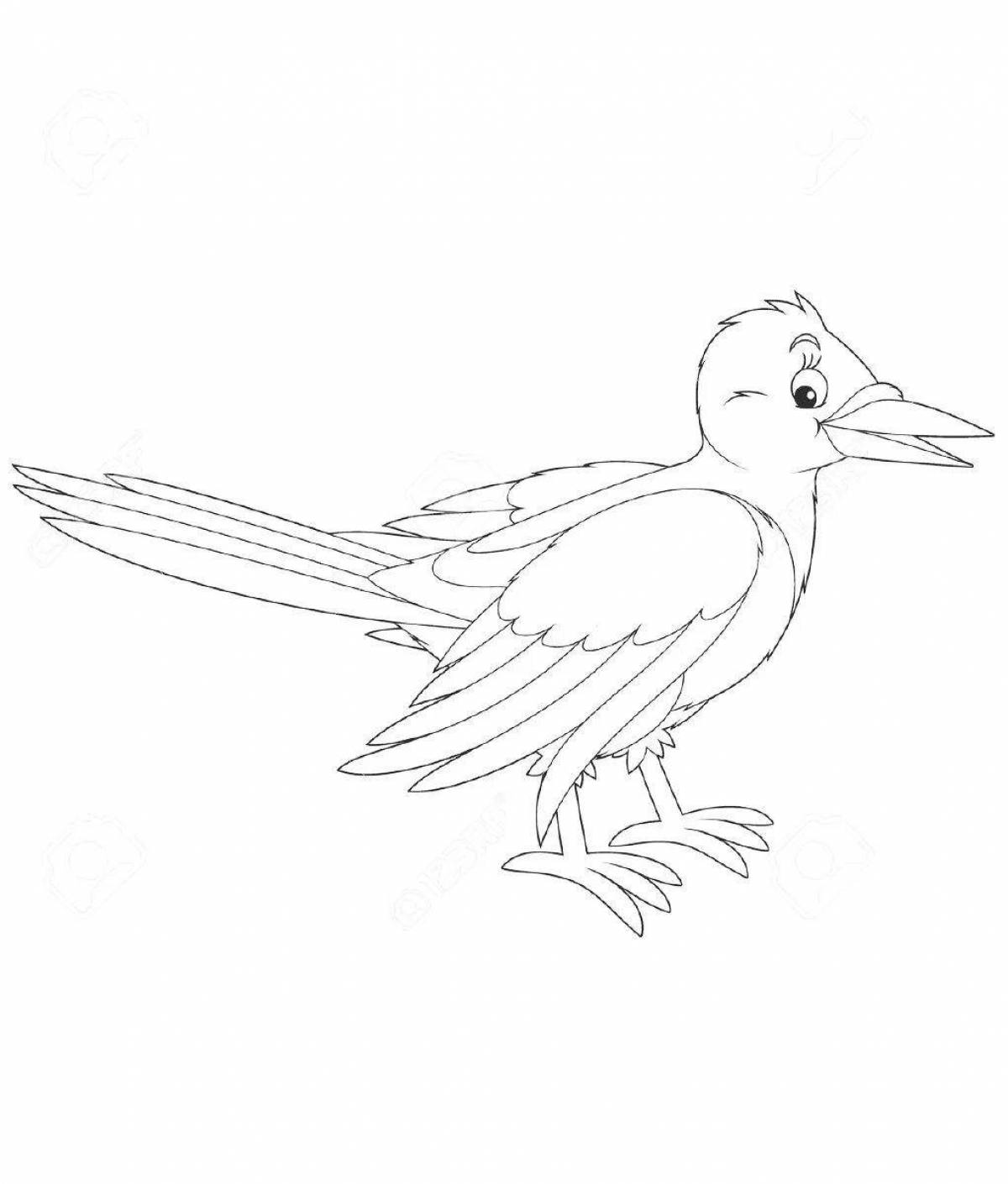 Coloring funny sauyskan