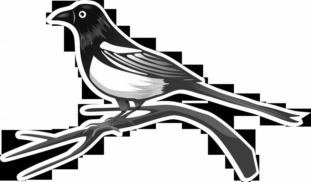 Coloring fairy sauyskan