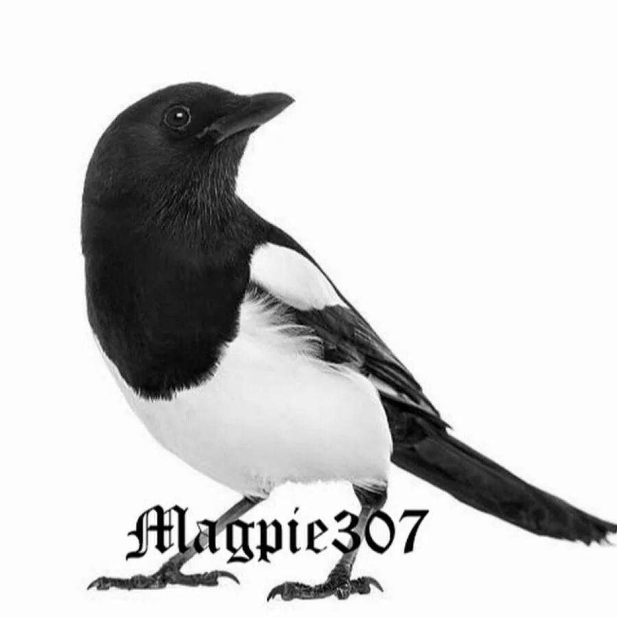 Amazing sauyskan coloring page