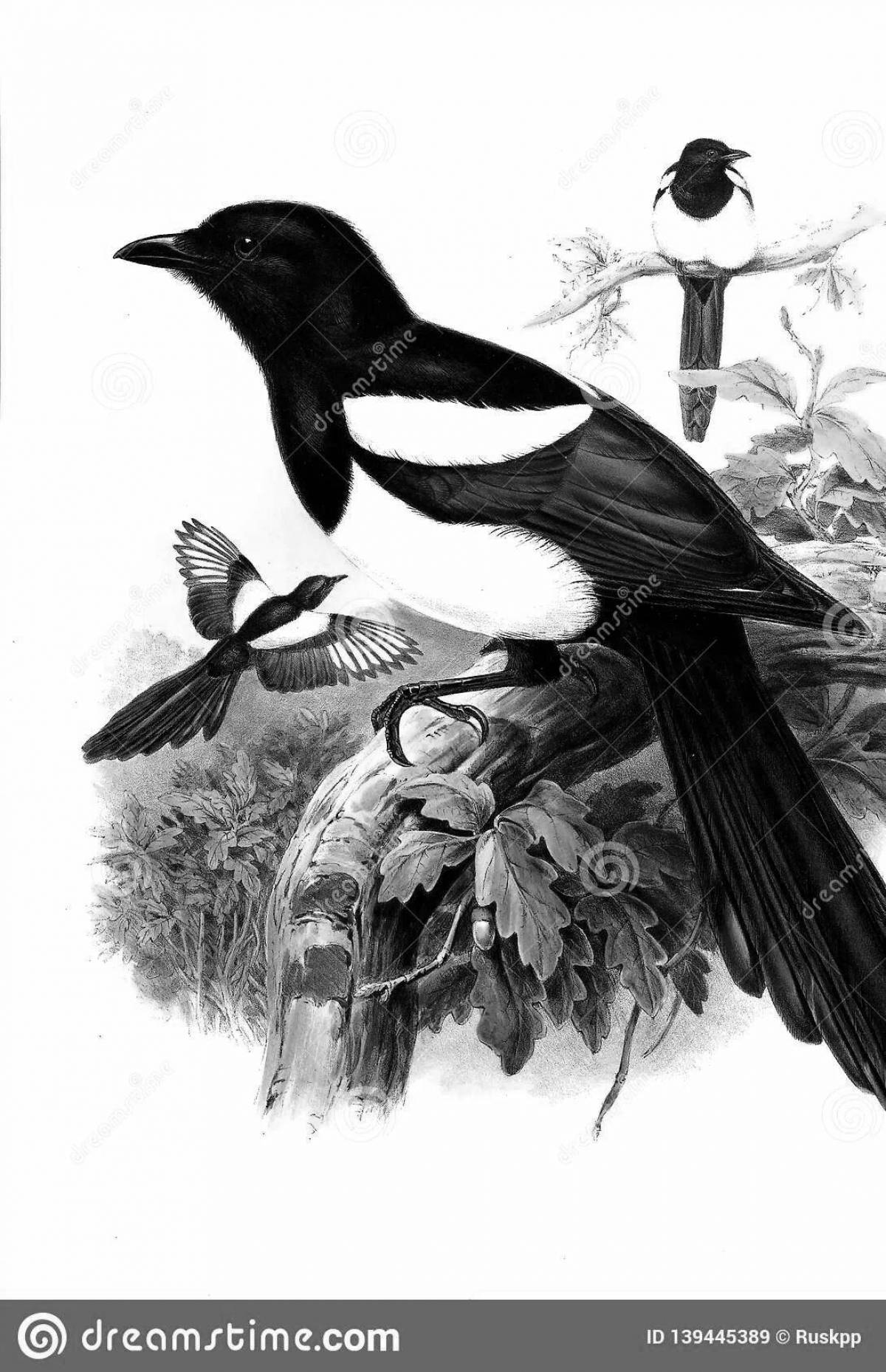 Sauyskan incredible coloring book