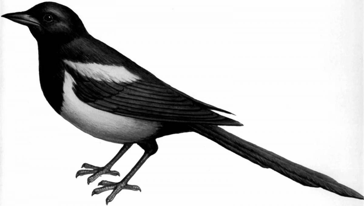 Cute sauyscan coloring book