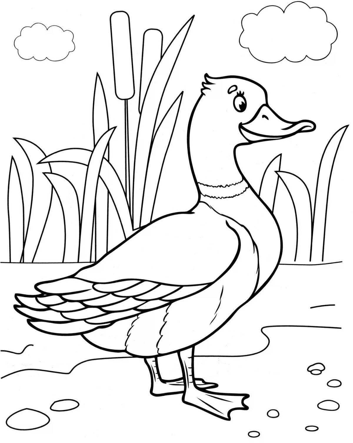 Wirek coloring page playful