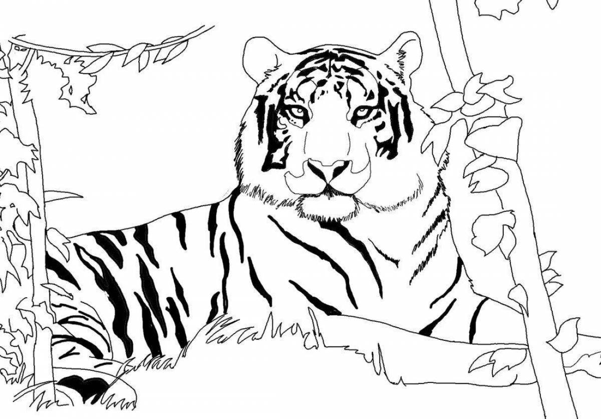 Awesome Zholbarys coloring pages