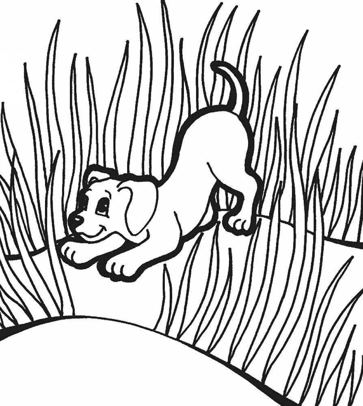 Glowing lawn coloring page