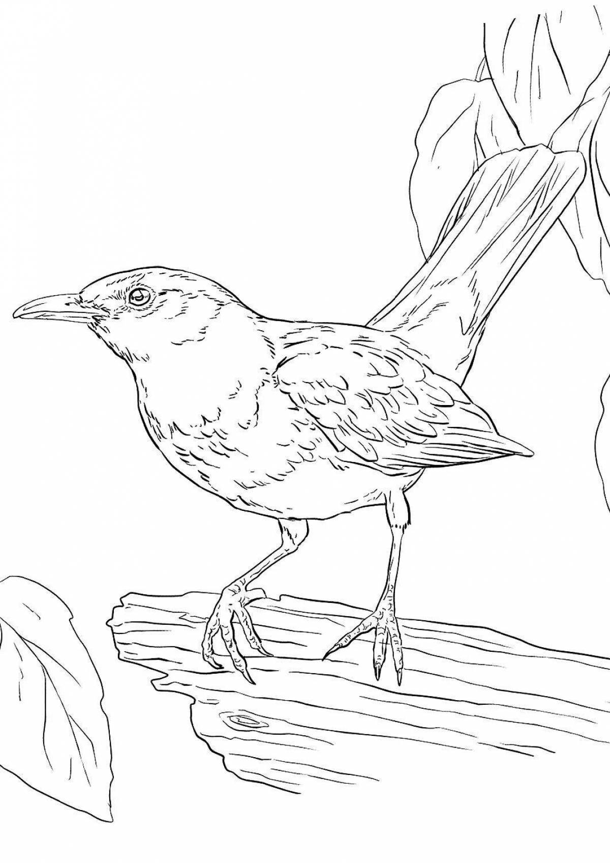 Colorful dipper coloring page