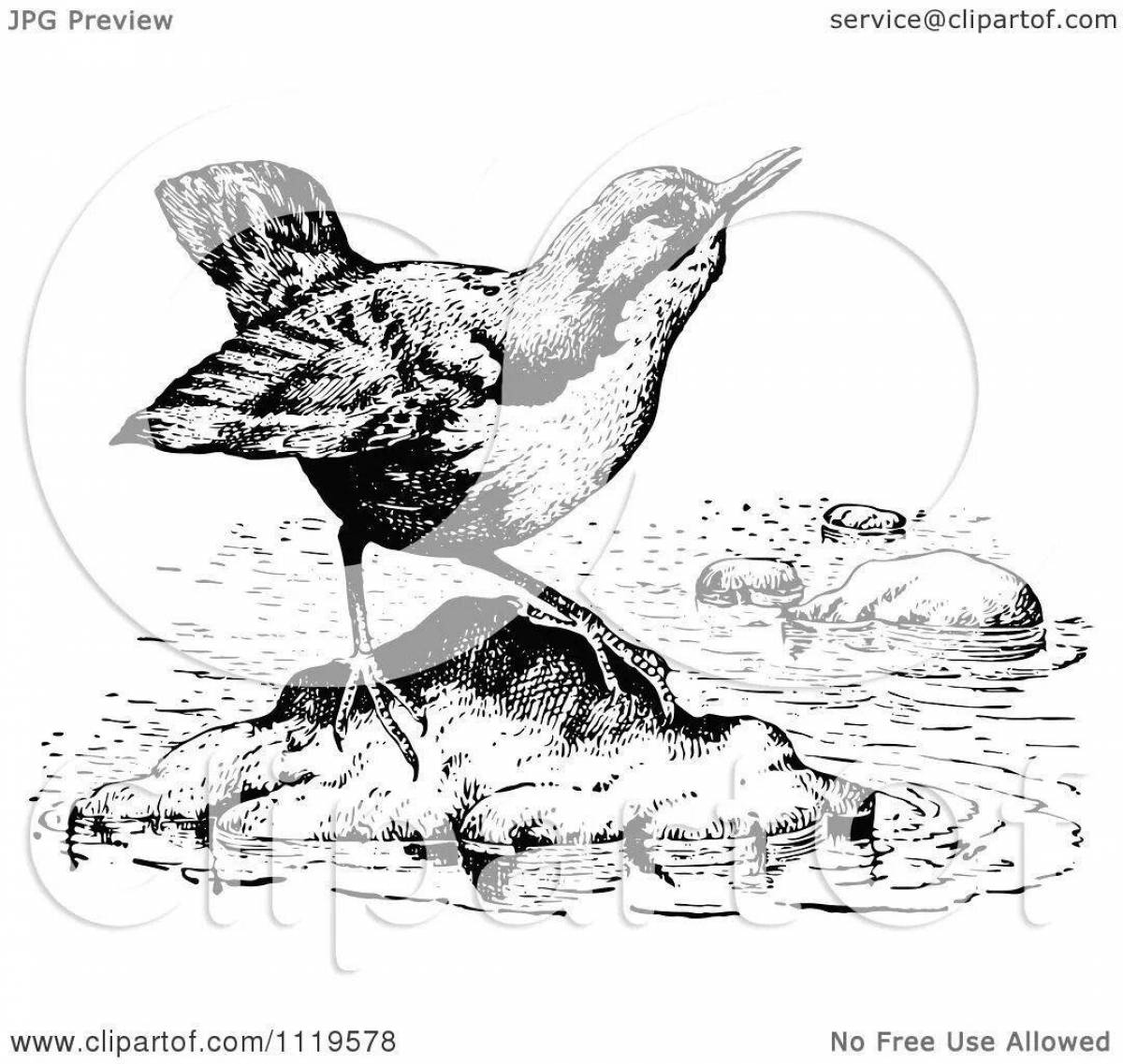 Coloring book shining bear