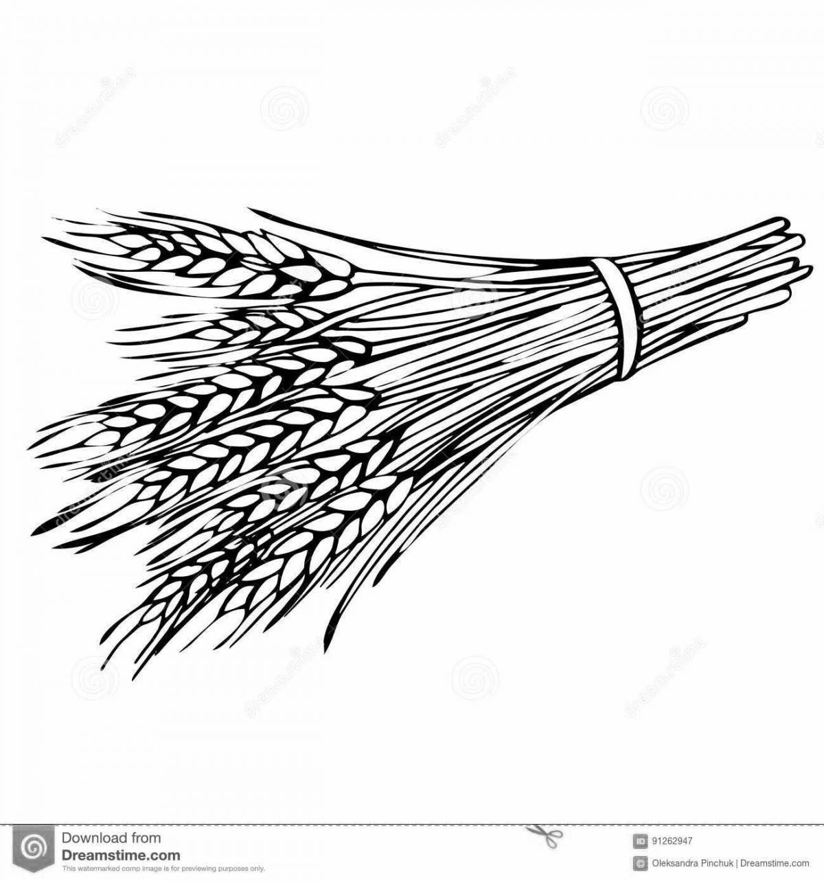 Photo Amazing coloring straw