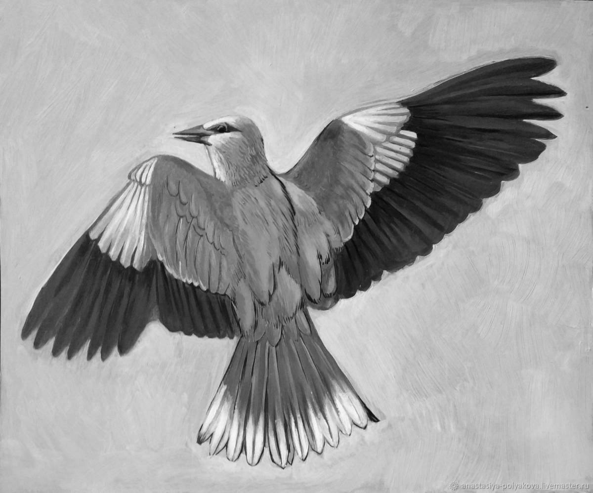 Coloring joyful roller