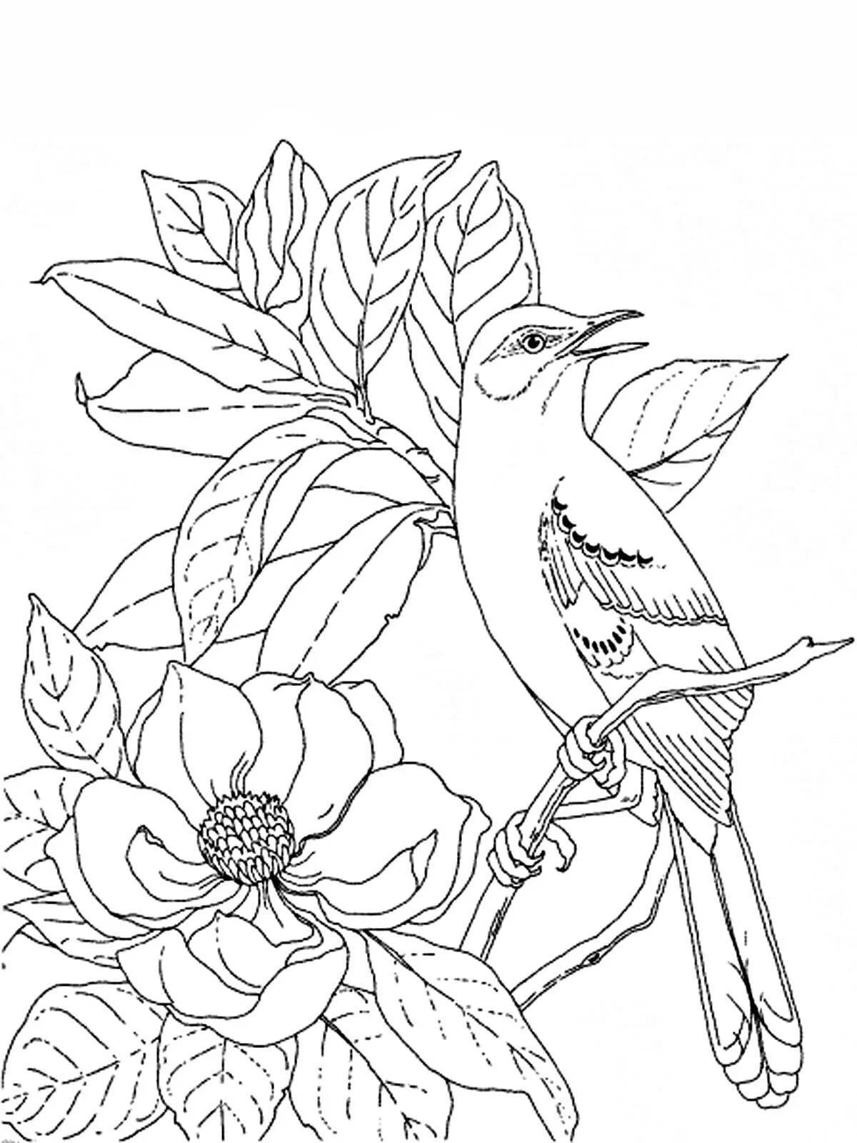 Violent coloring video