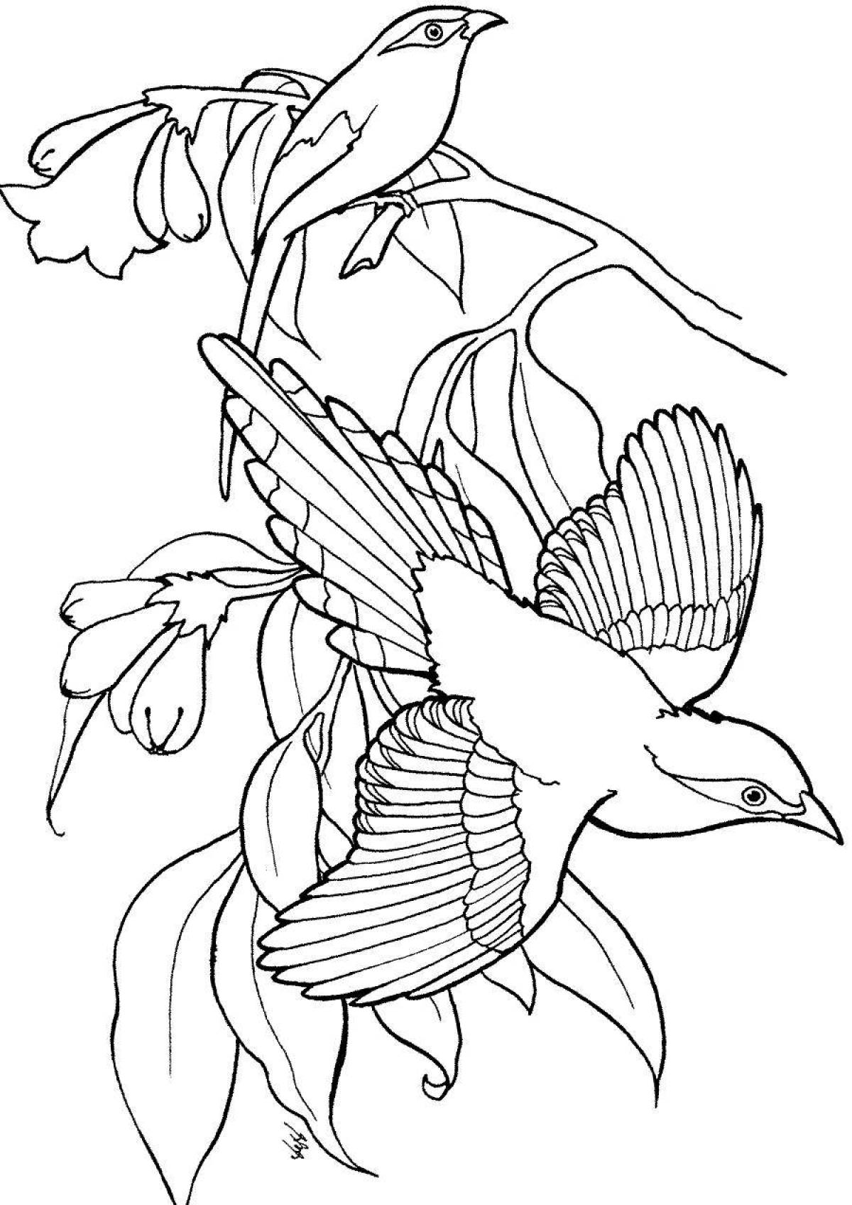 Vivacious roller coloring page