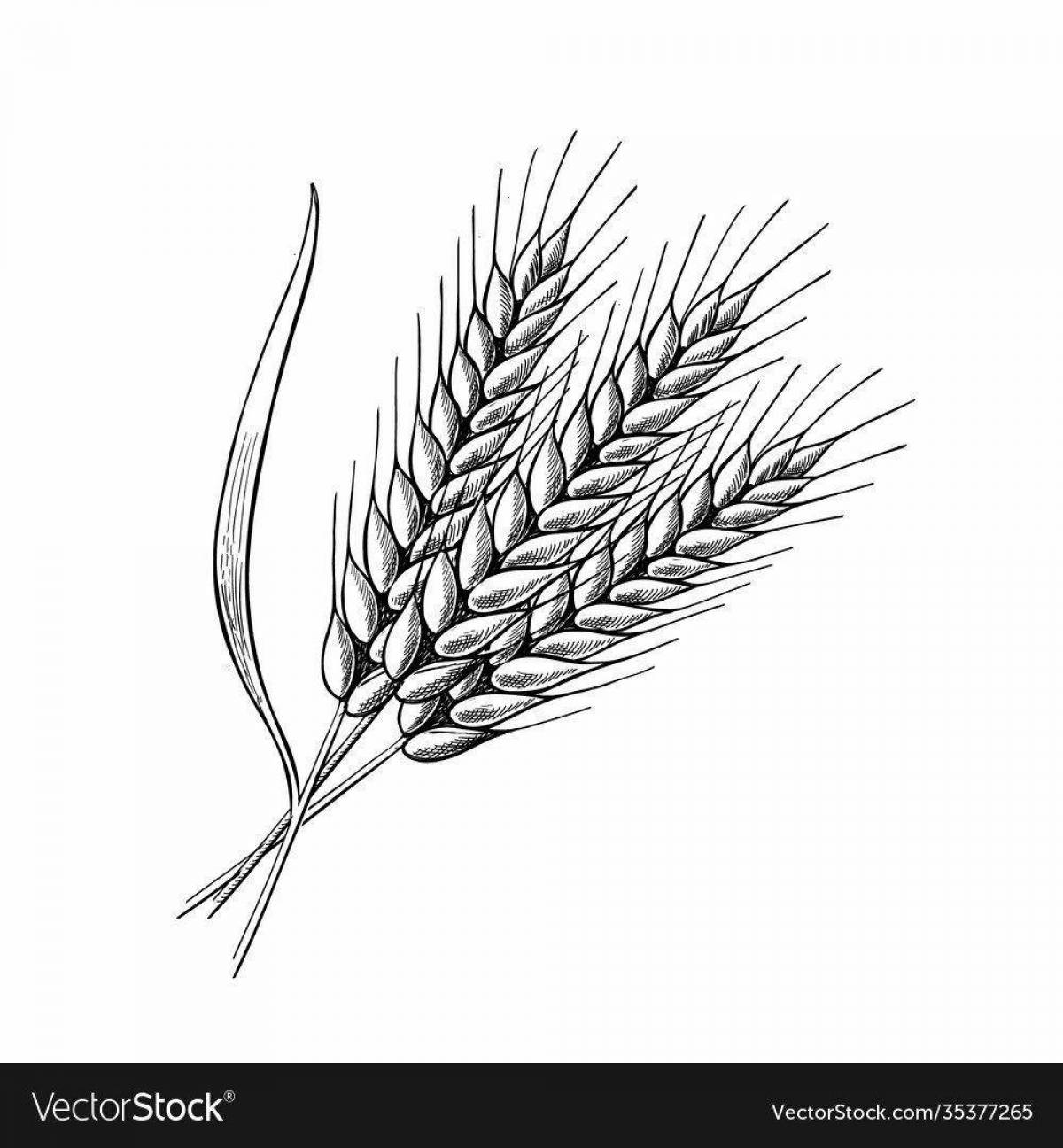 Animated grain coloring page