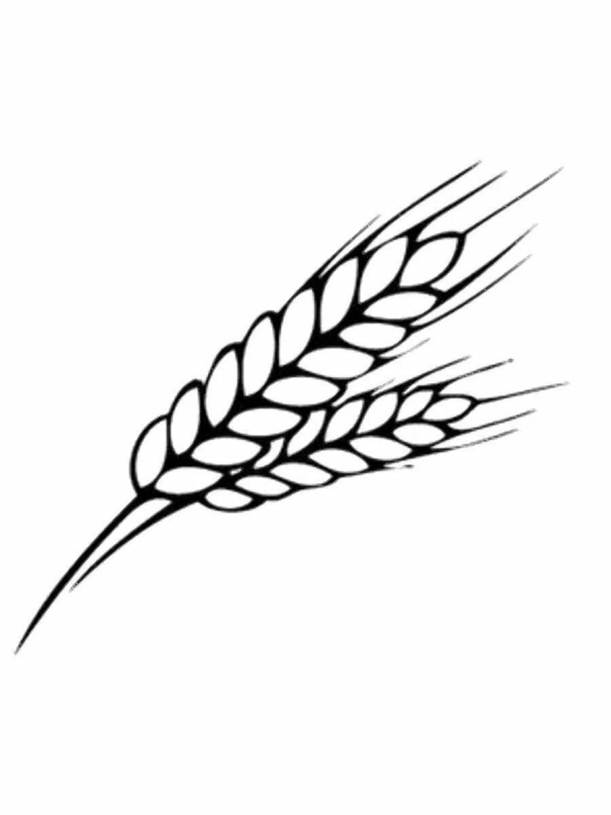 Attractive grain coloring page
