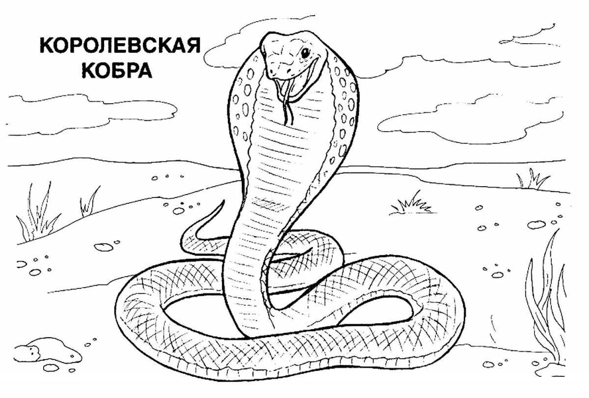 Colorful mongoose coloring page