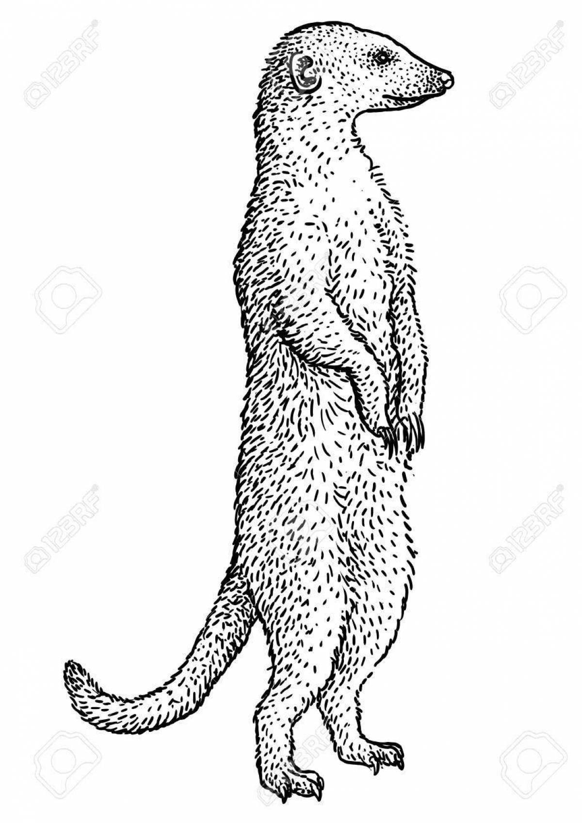 Coloring page joyful mongoose