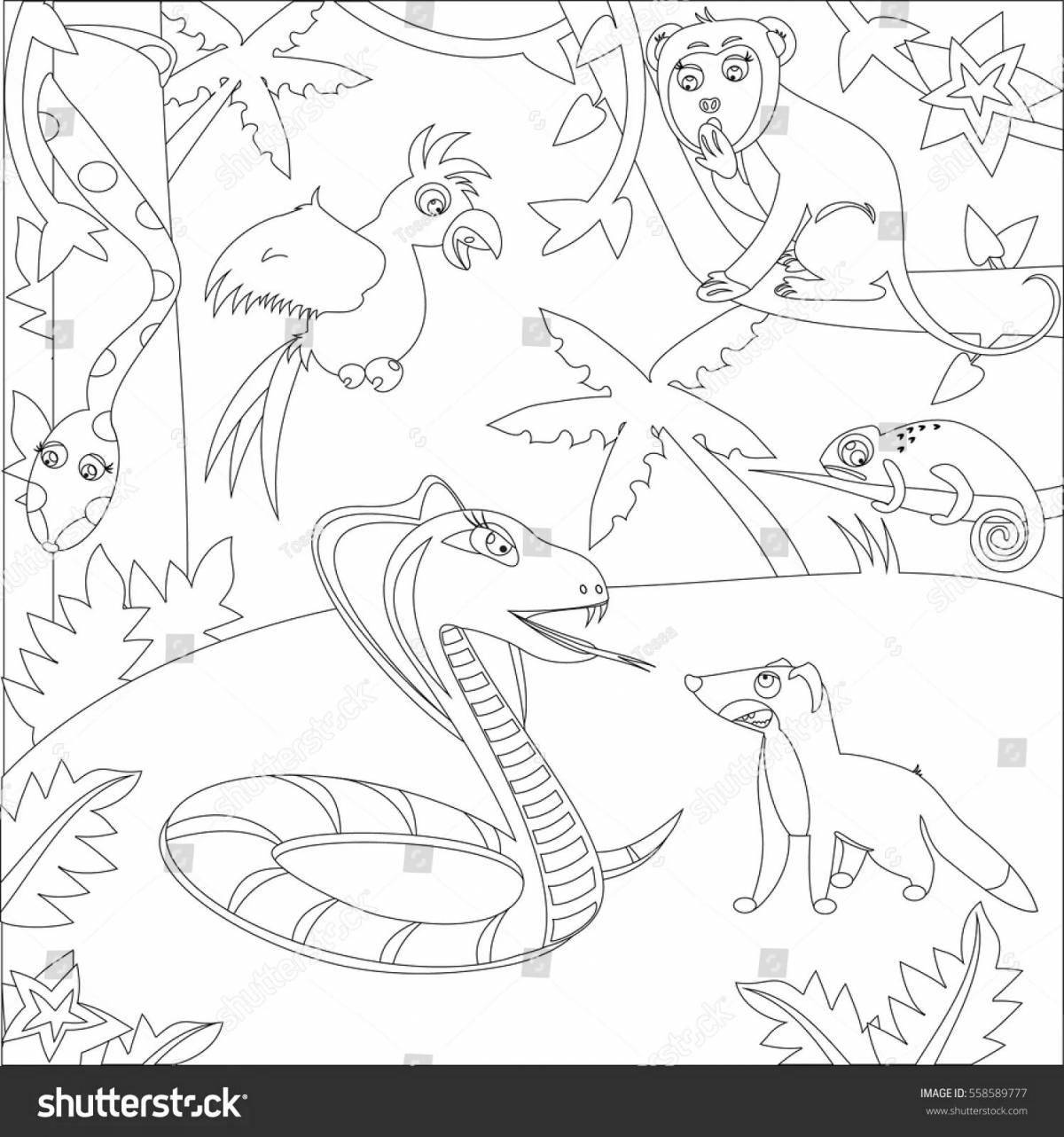 Mongoose live coloring page