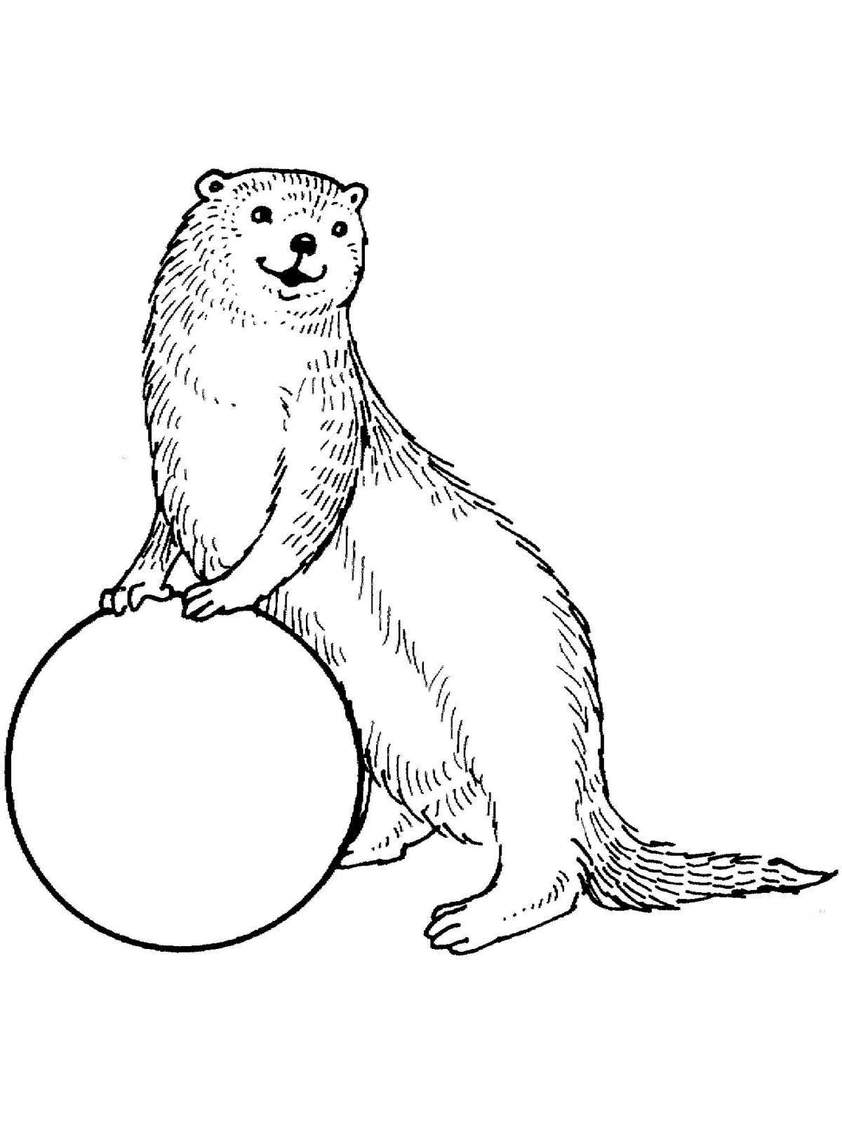 Adorable mongoose coloring page