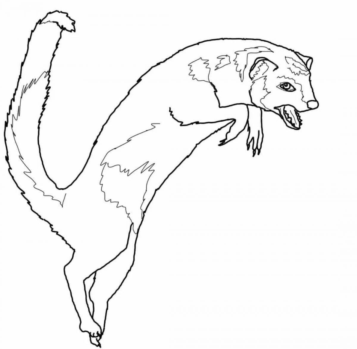 Coloring bright mongoose