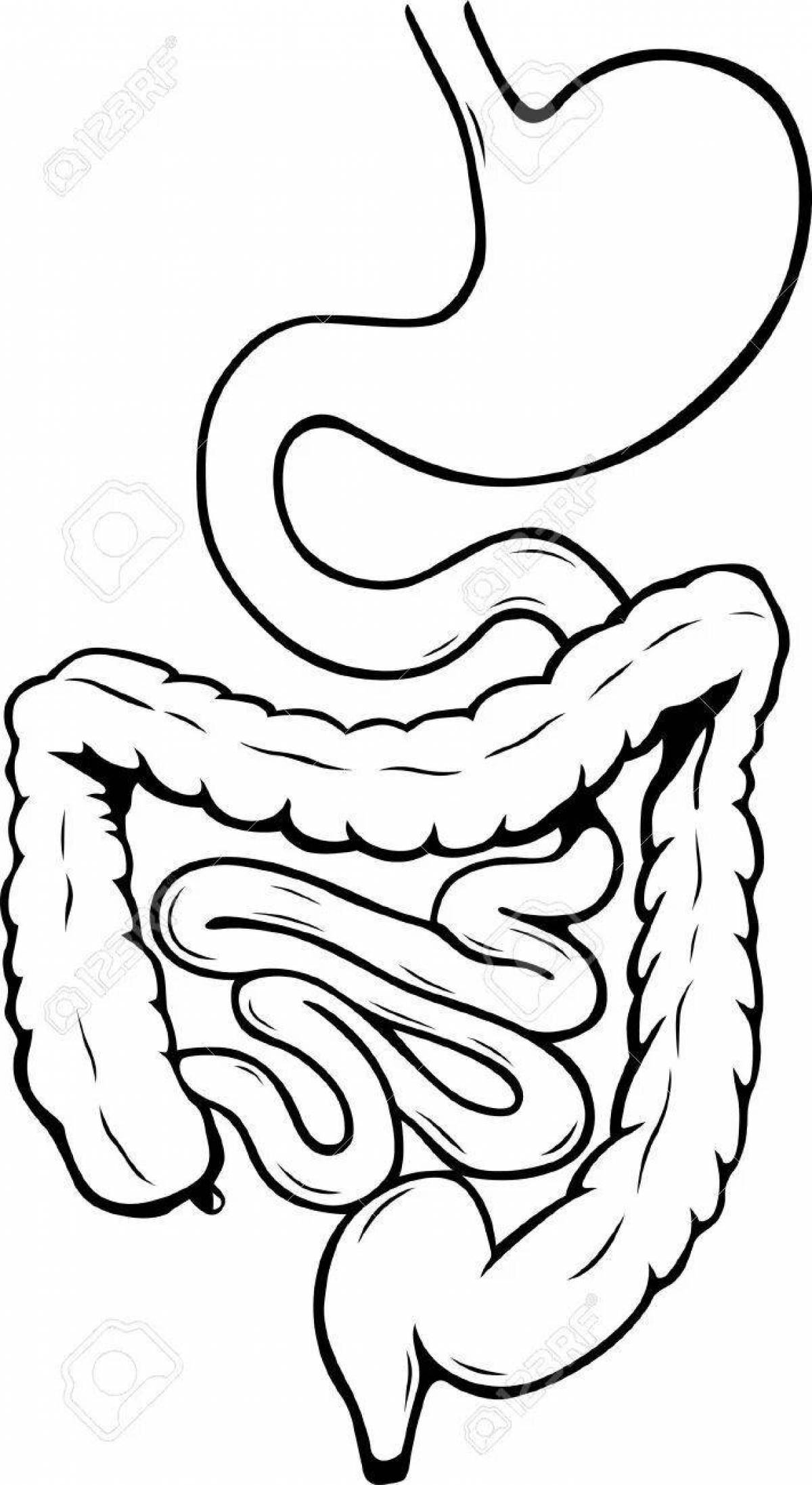 Fun coloring of intestines