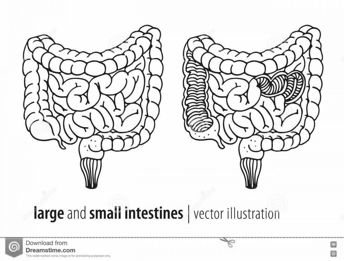 Creative bowel coloring