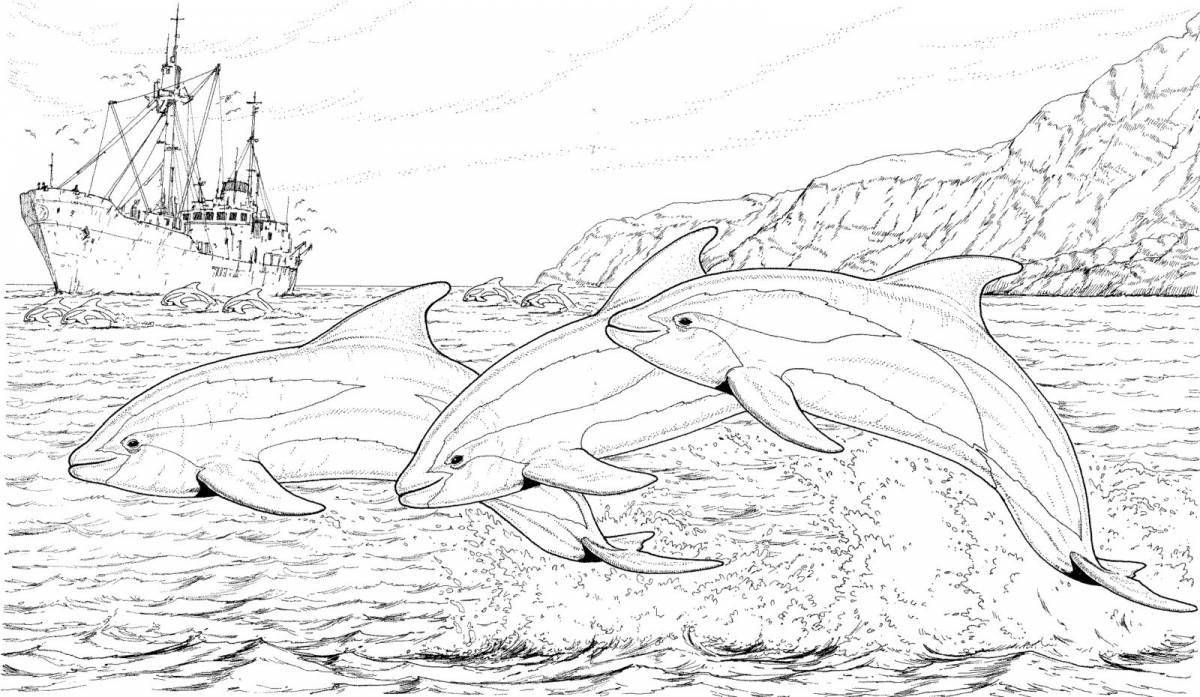 Gorgeous bottlenose dolphin coloring book
