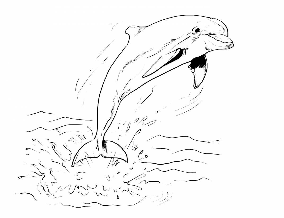 Tempting bottlenose dolphin coloring