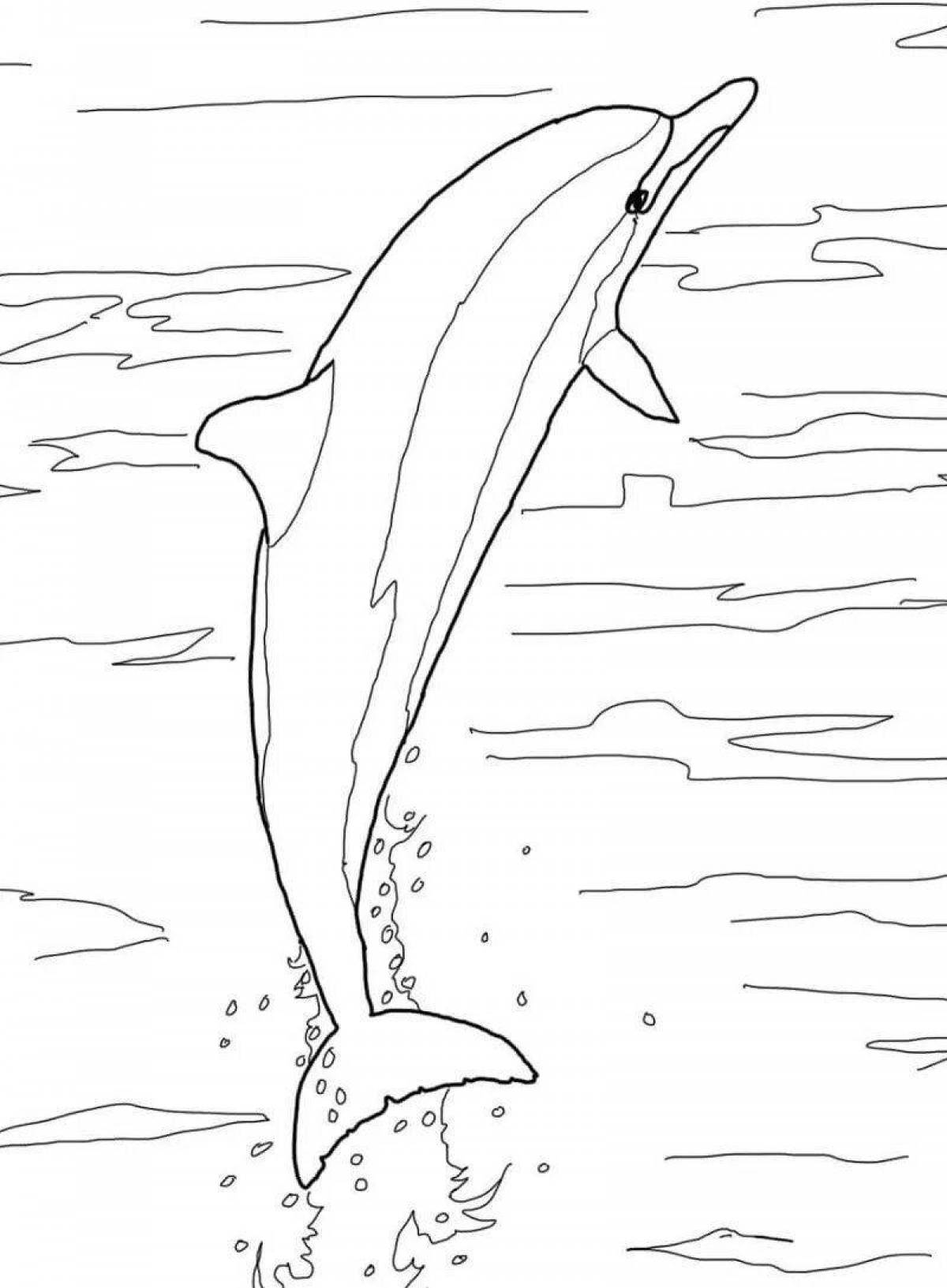 Delightful bottlenose dolphin coloring