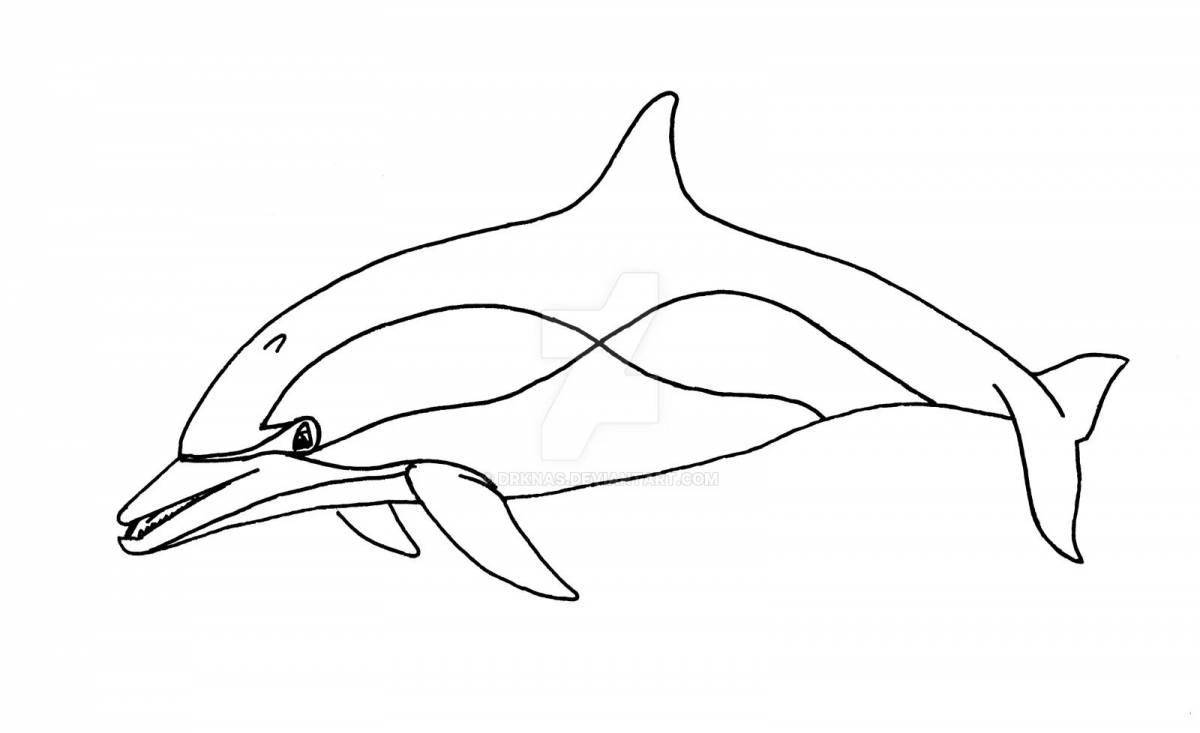 Shine bottlenose dolphin coloring