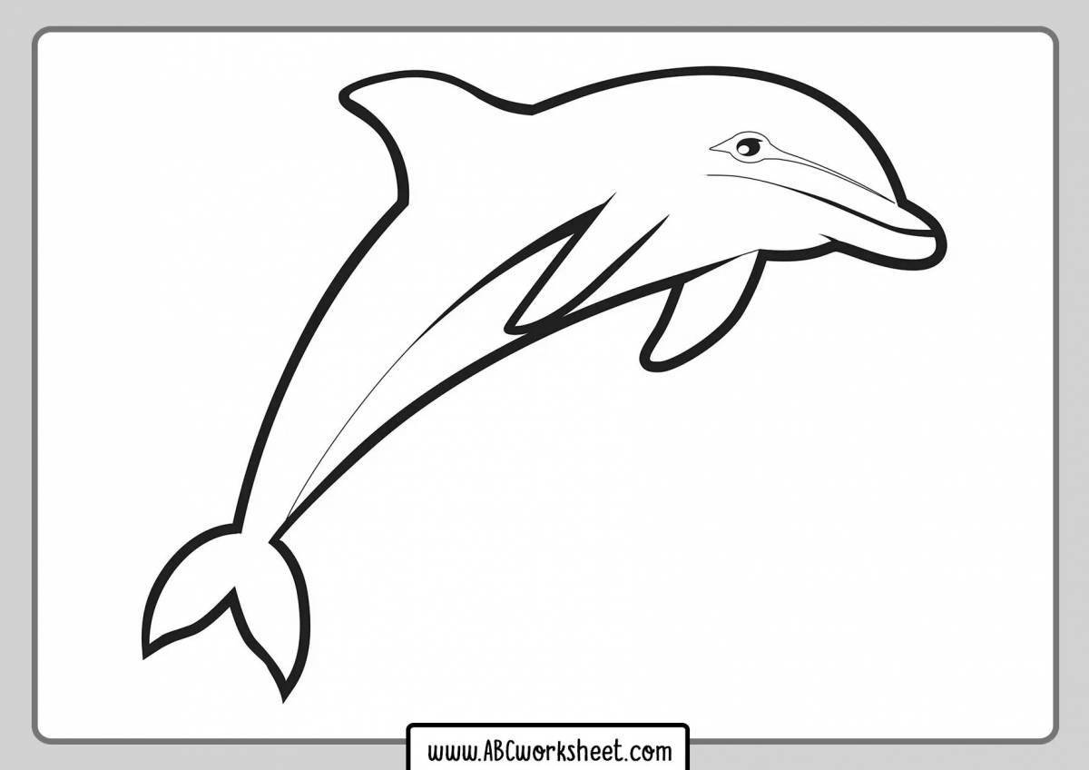 Amazing bottlenose dolphin coloring book