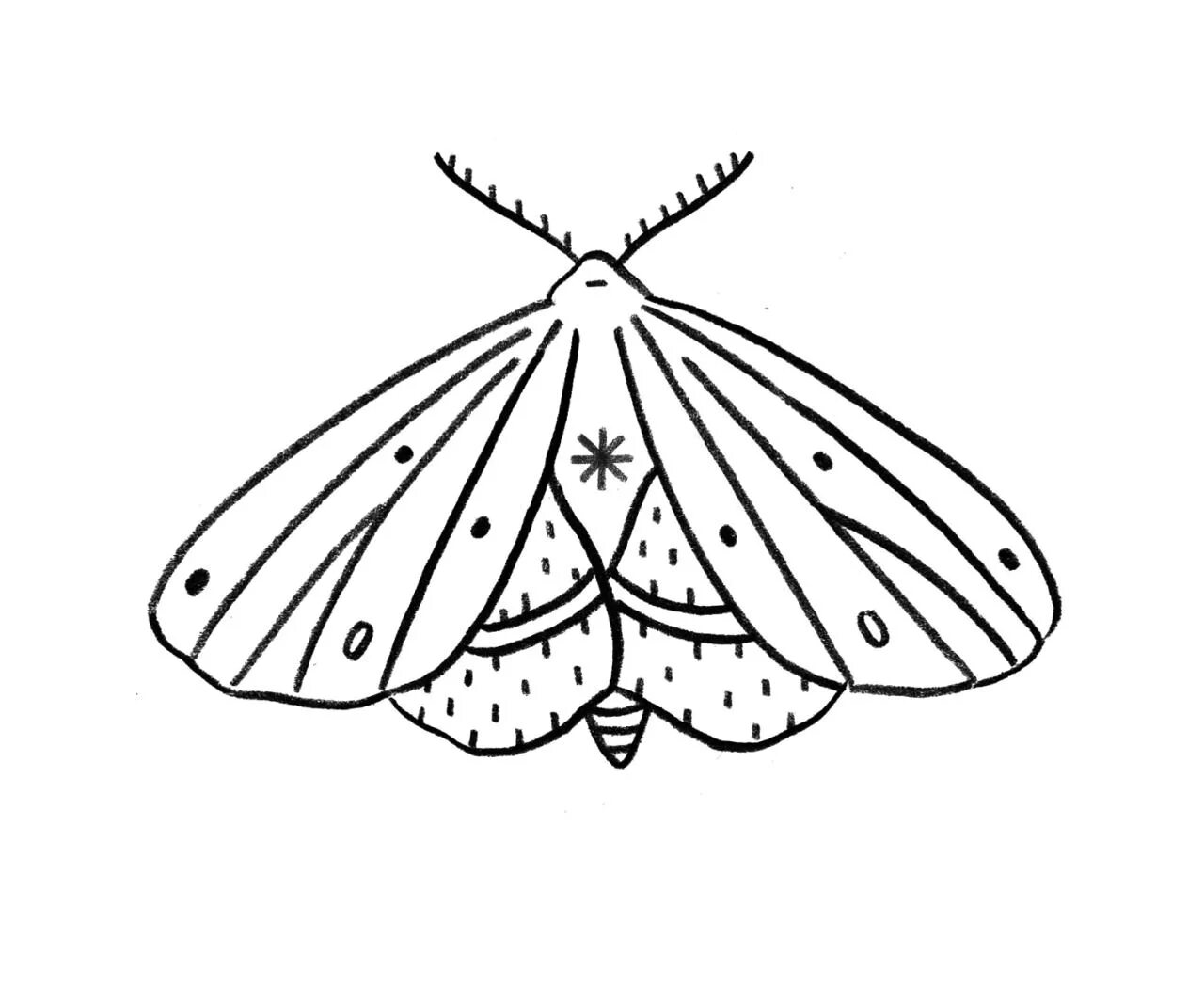 Exquisite mole coloring book