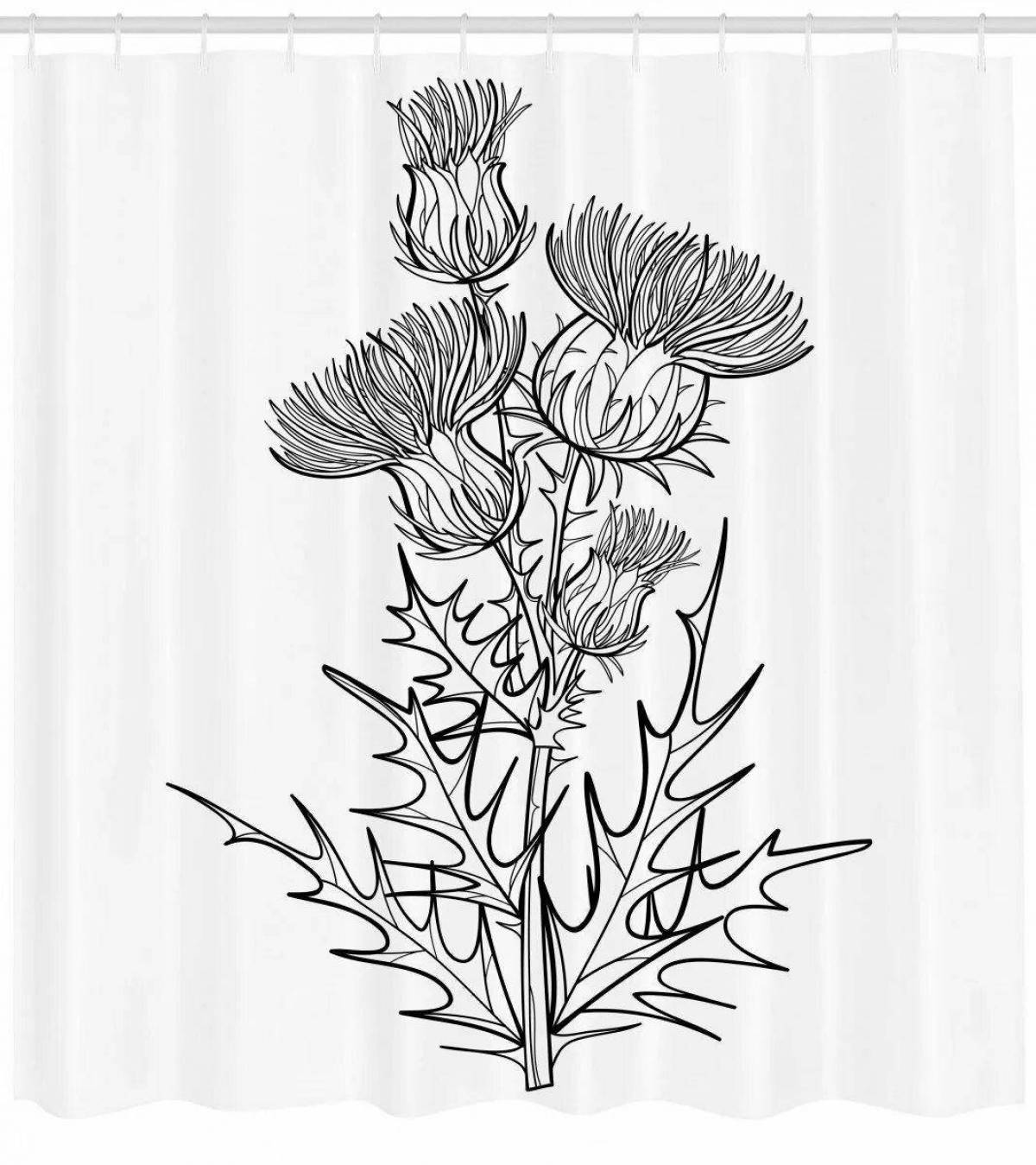 Glorious thistle coloring page