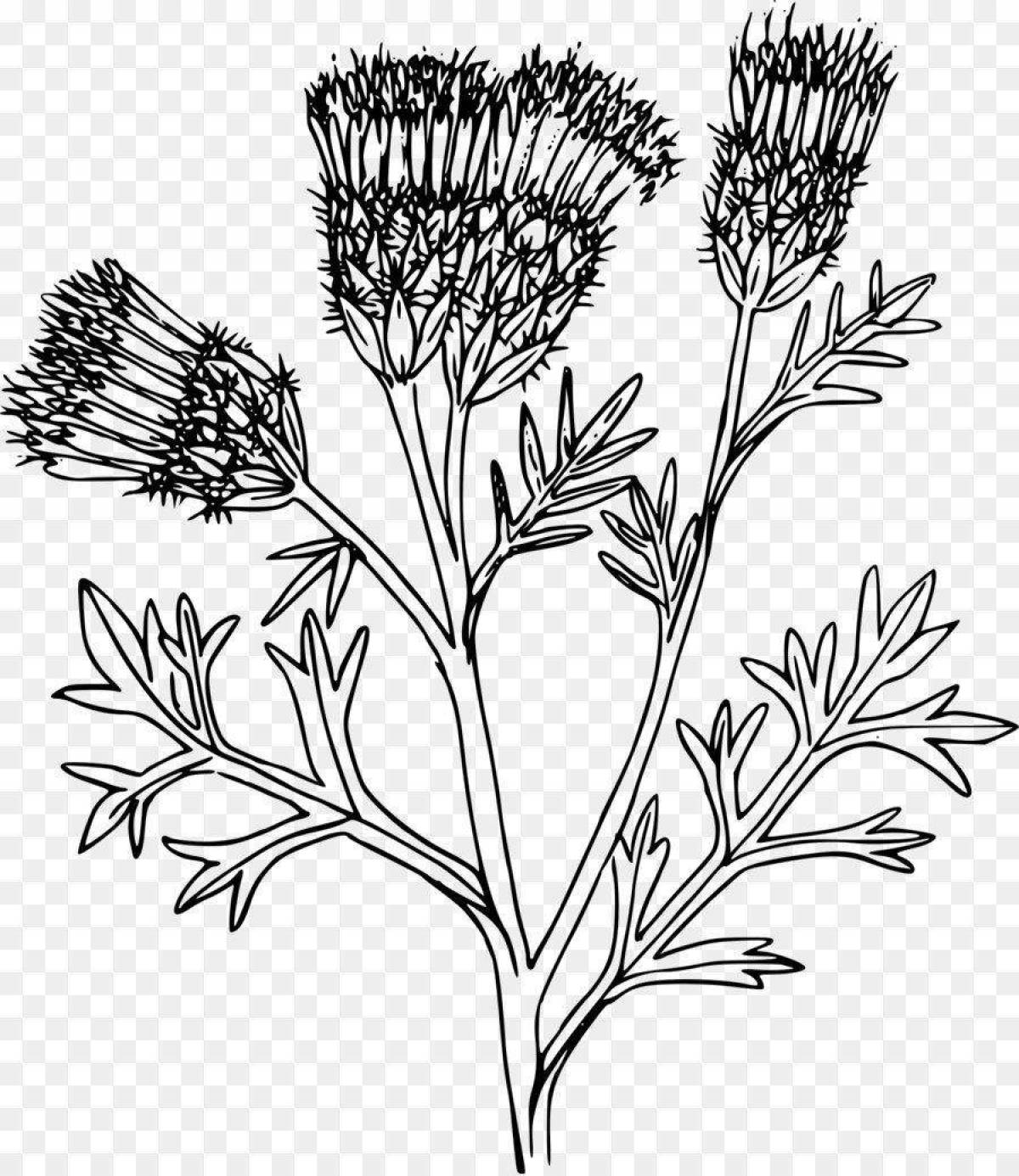 Cute thistle coloring book