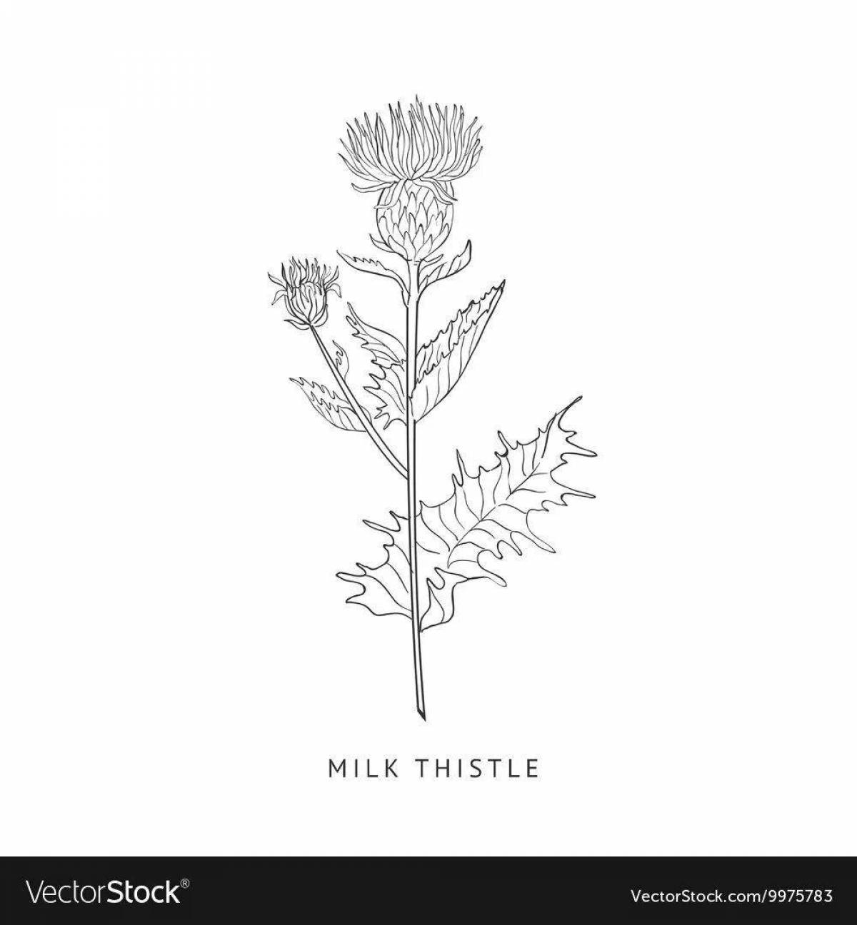 Dazzling thistle coloring page