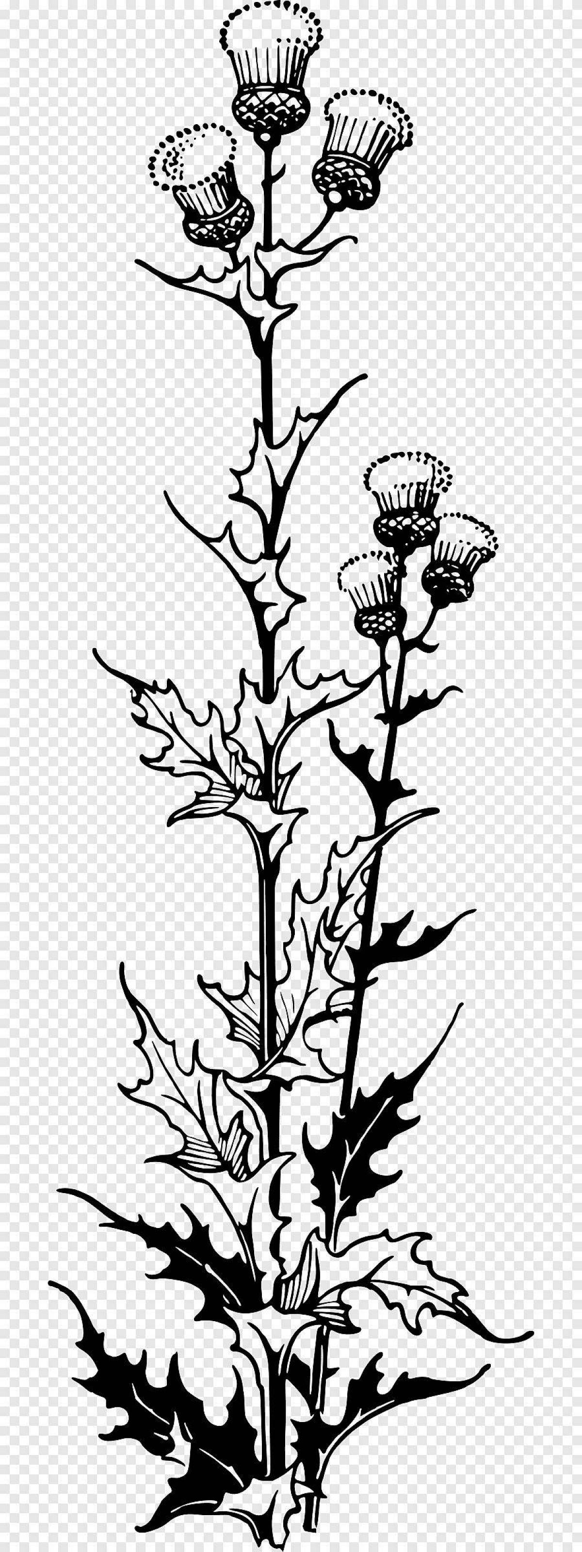 Coloring page happy thistle