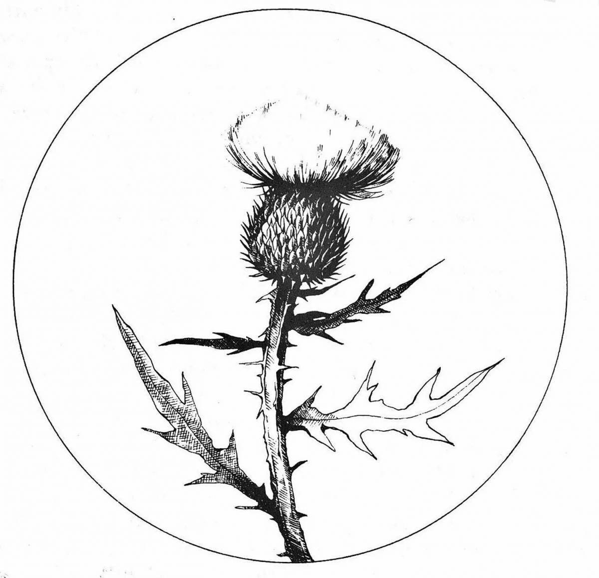Playful thistle coloring page