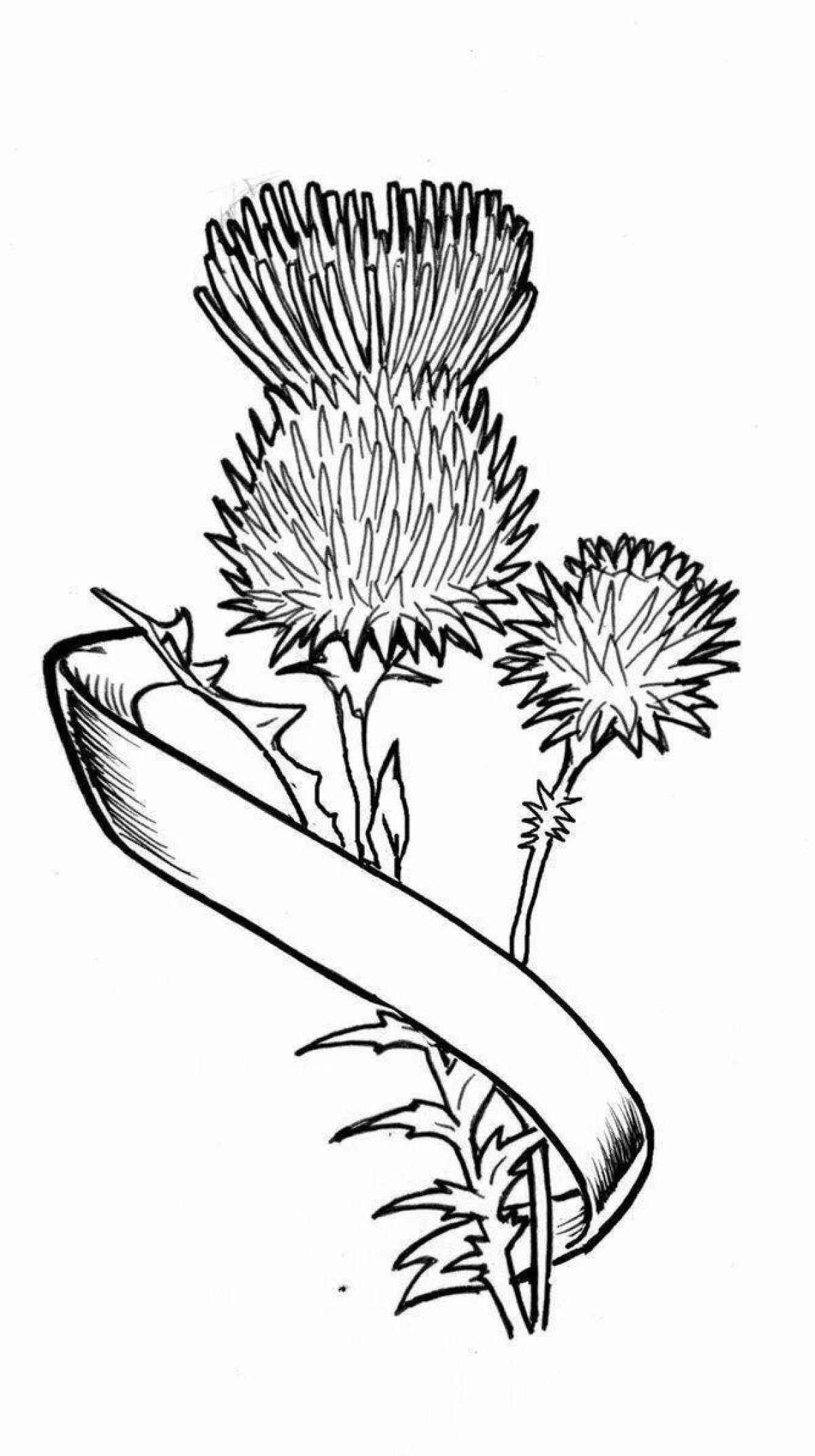 Coloring book cheerful thistle