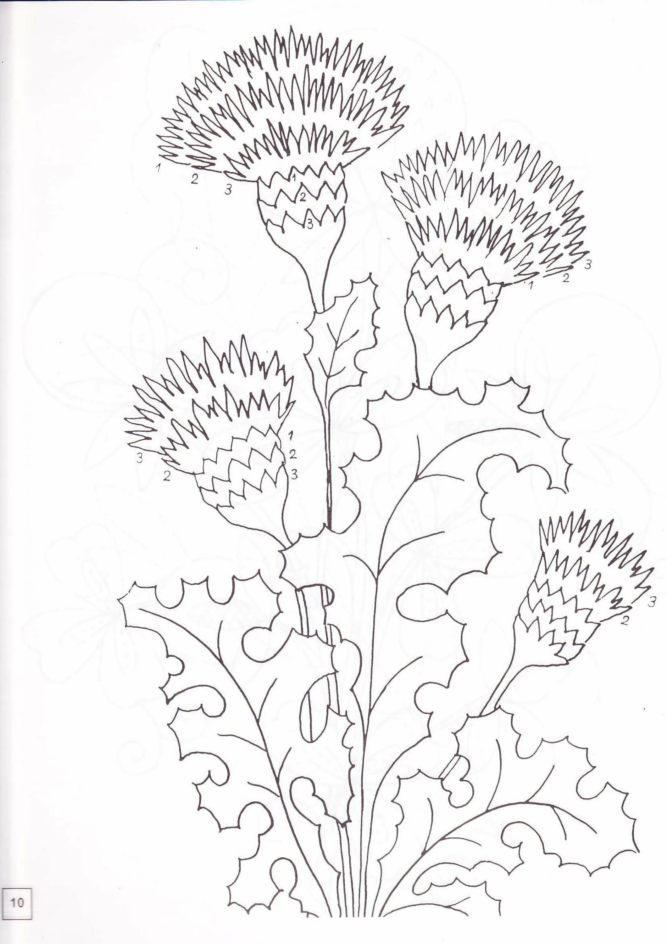 Fine thistle coloring page