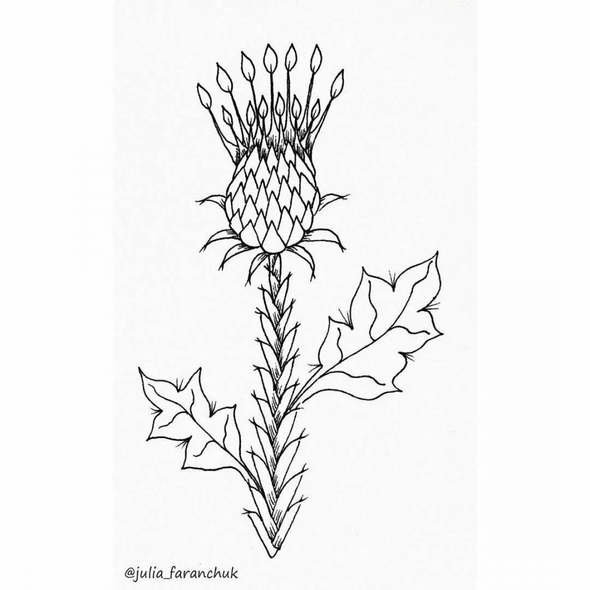 Amazing thistle coloring page