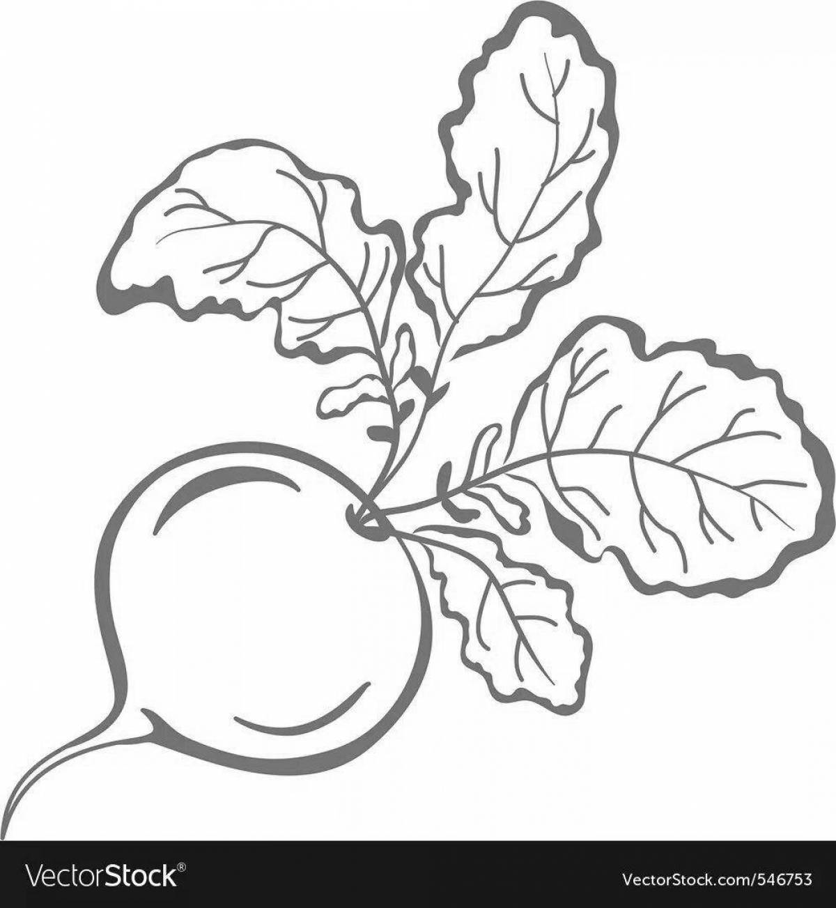 Photo Colouring funny radish