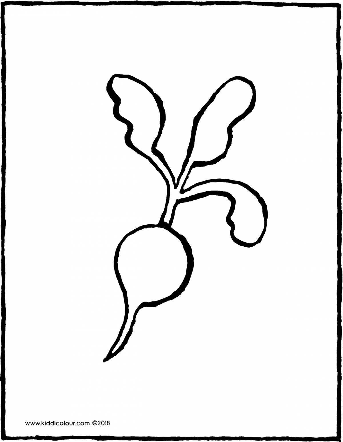 Photo Joyful radish coloring book