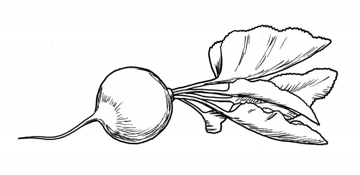 Photo Coloring book sparkling radish