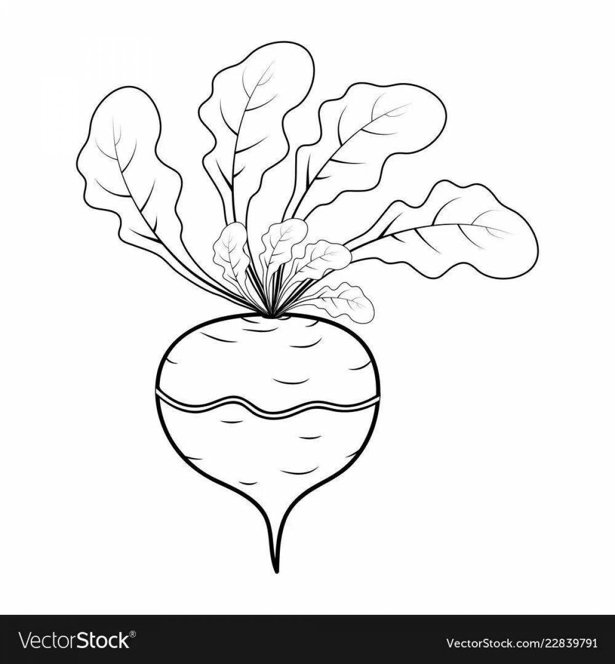Photo Charming radish coloring page