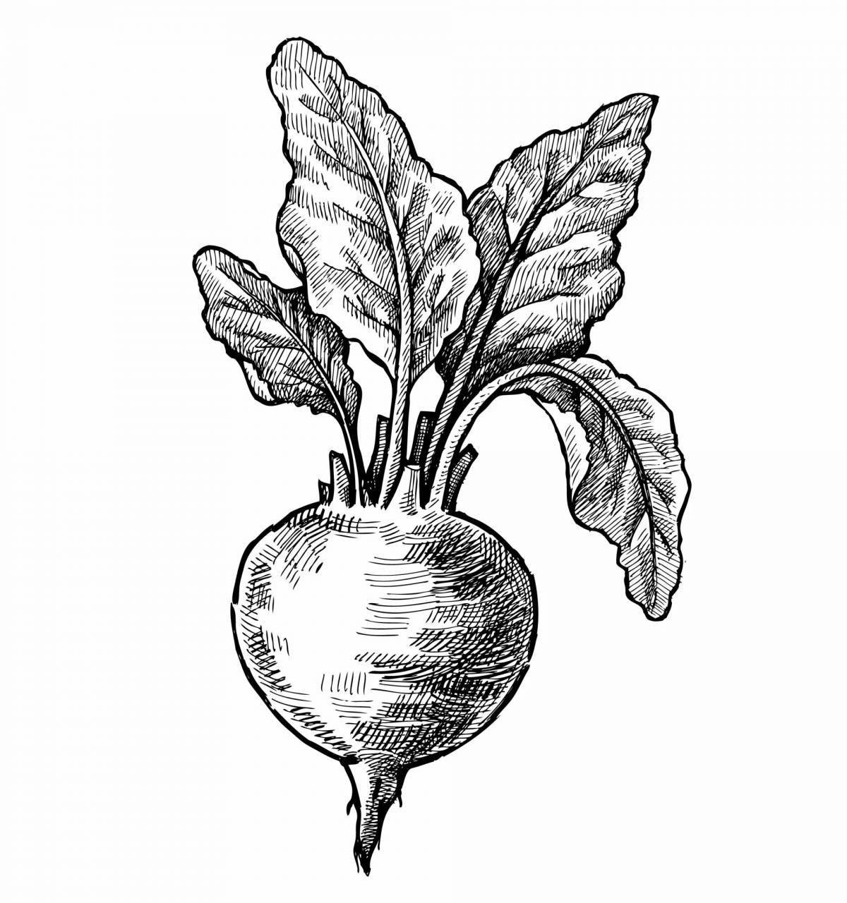 Photo Magic radish coloring page