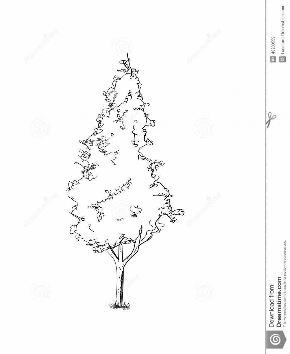 Adorable thuja coloring page