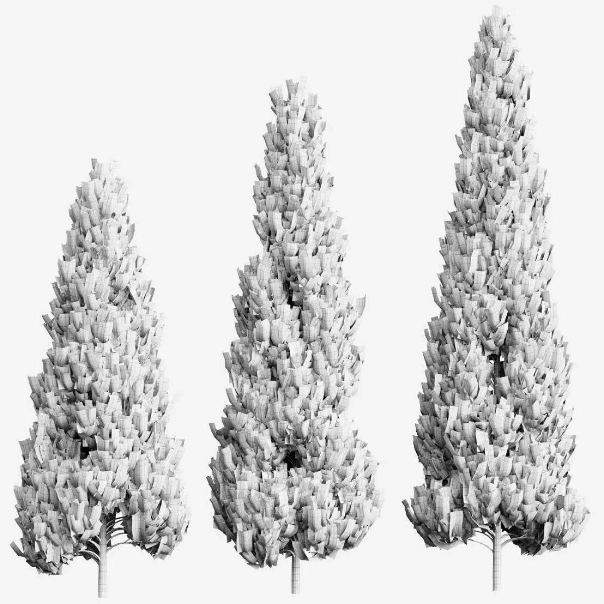 Раскраска Очаровательная раскраска туя