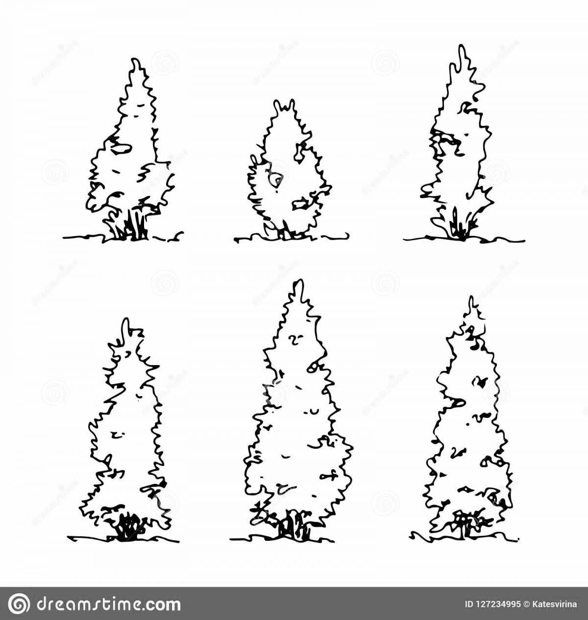 Раскраска Очаровательная туя раскраска
