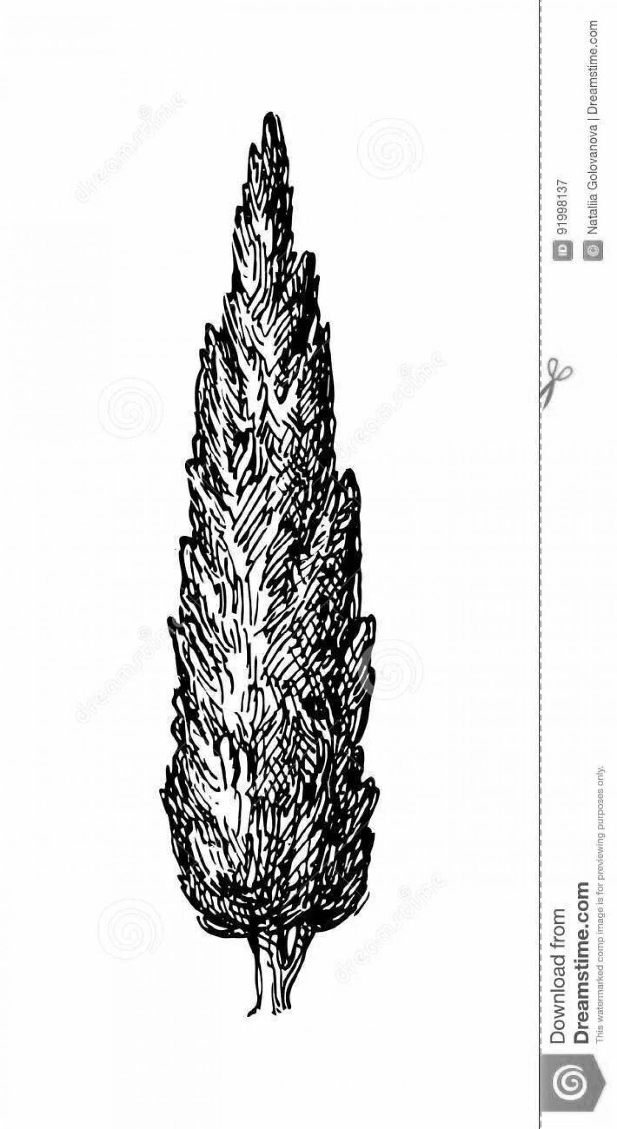 Animated thuja coloring page