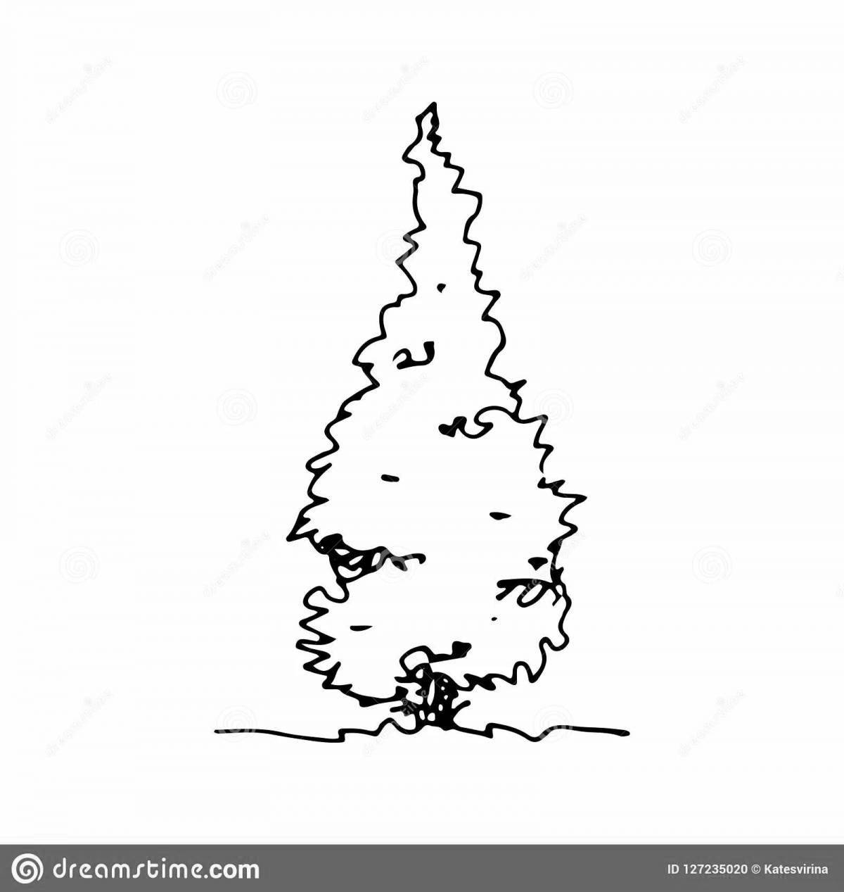 Раскраска Захватывающая раскраска туя